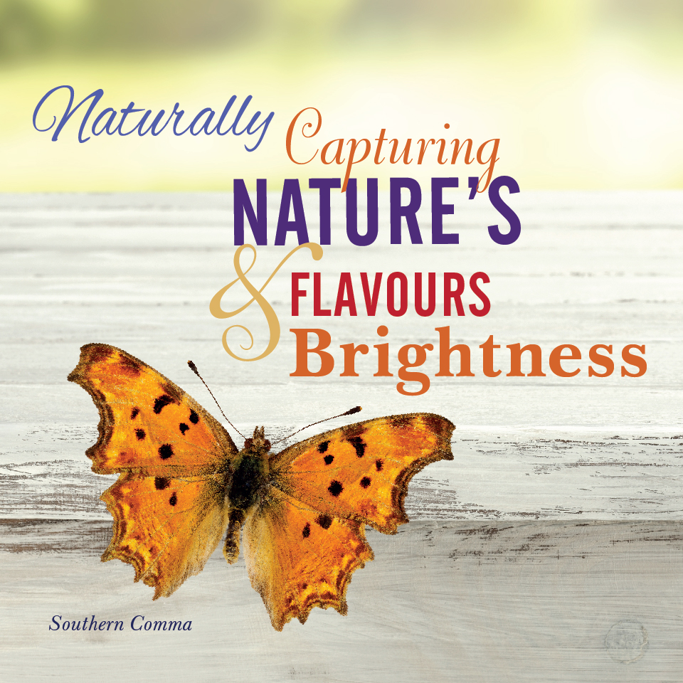 Reedy's Capturing Natures Flavours and Brightness marketing messages 