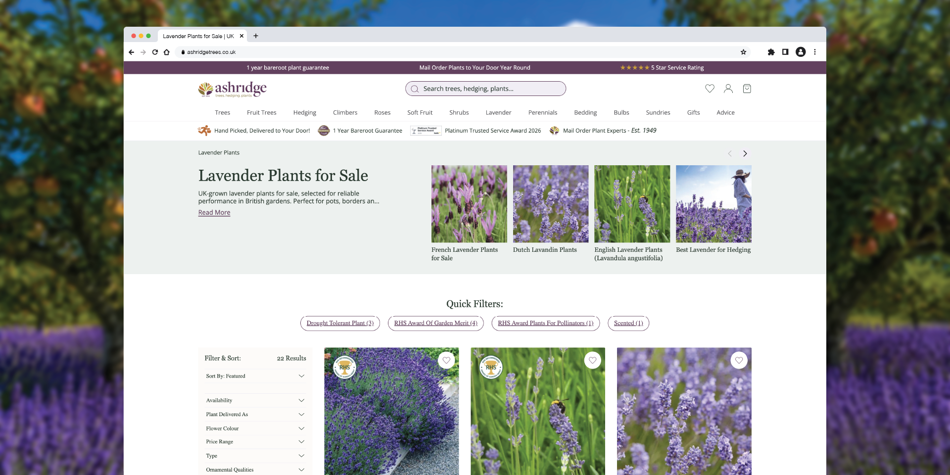 Ashridge Website