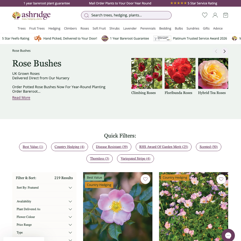 Ashridge Website Design