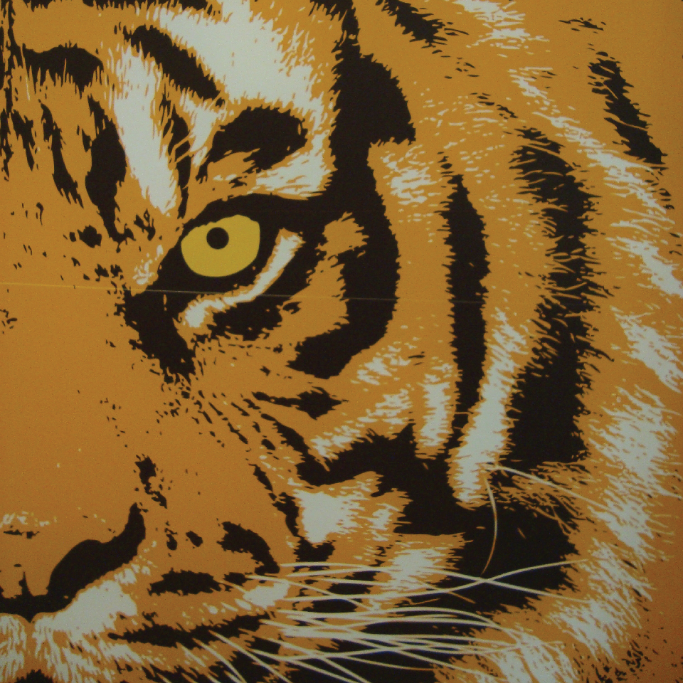 BBC Bristol tiger reception graphics