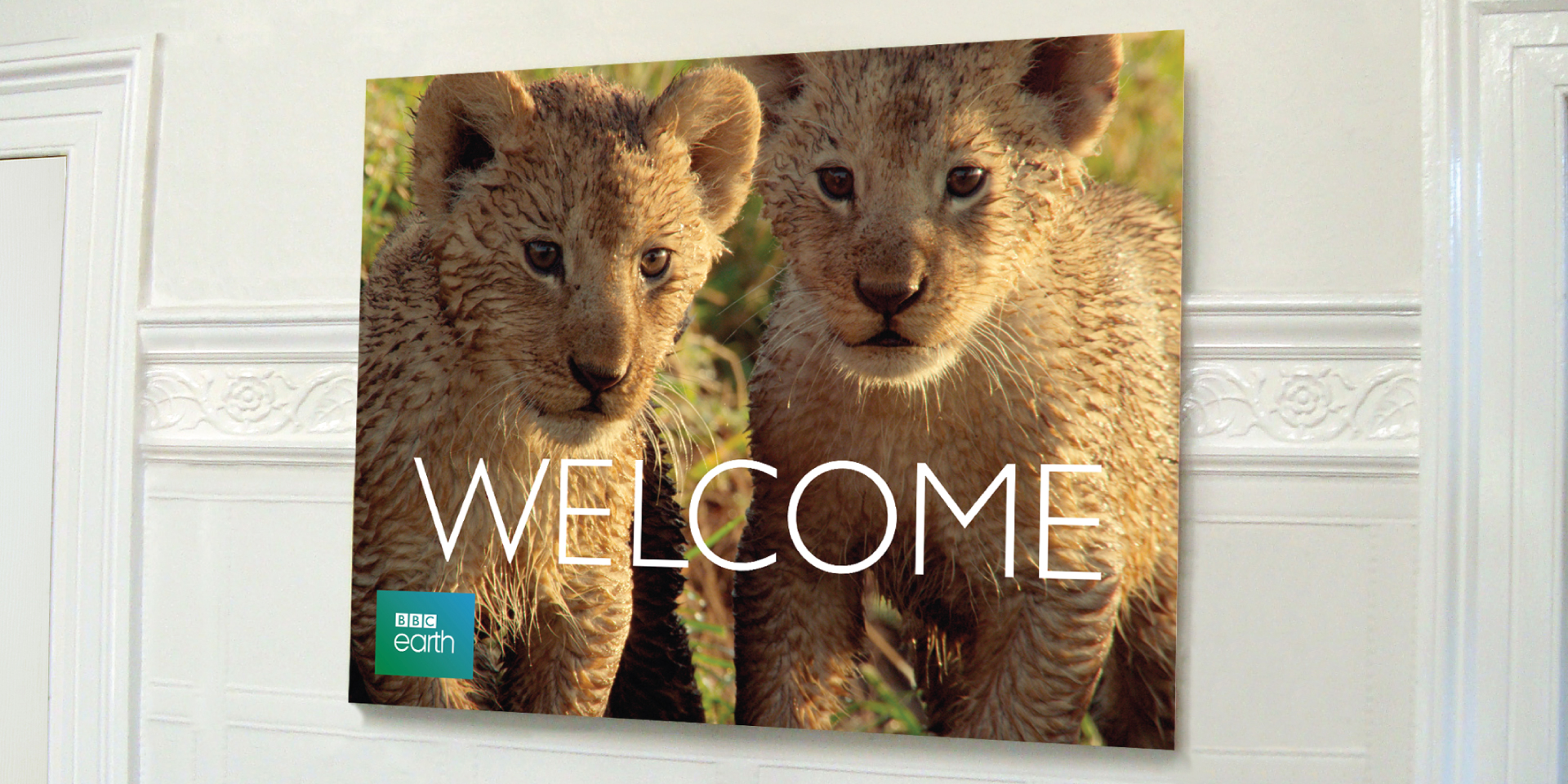 BBC Earth welcome sign lion cubs