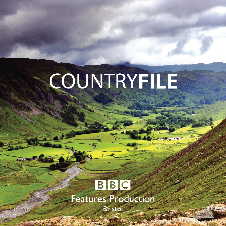 BBC Meeting Rooms Graphics Countryfile