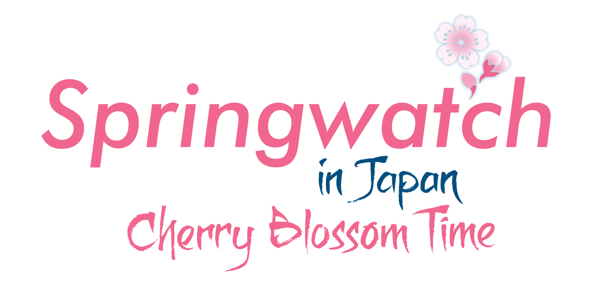 BBC Springwatch in Japan Cherry Blossom Time brand identity