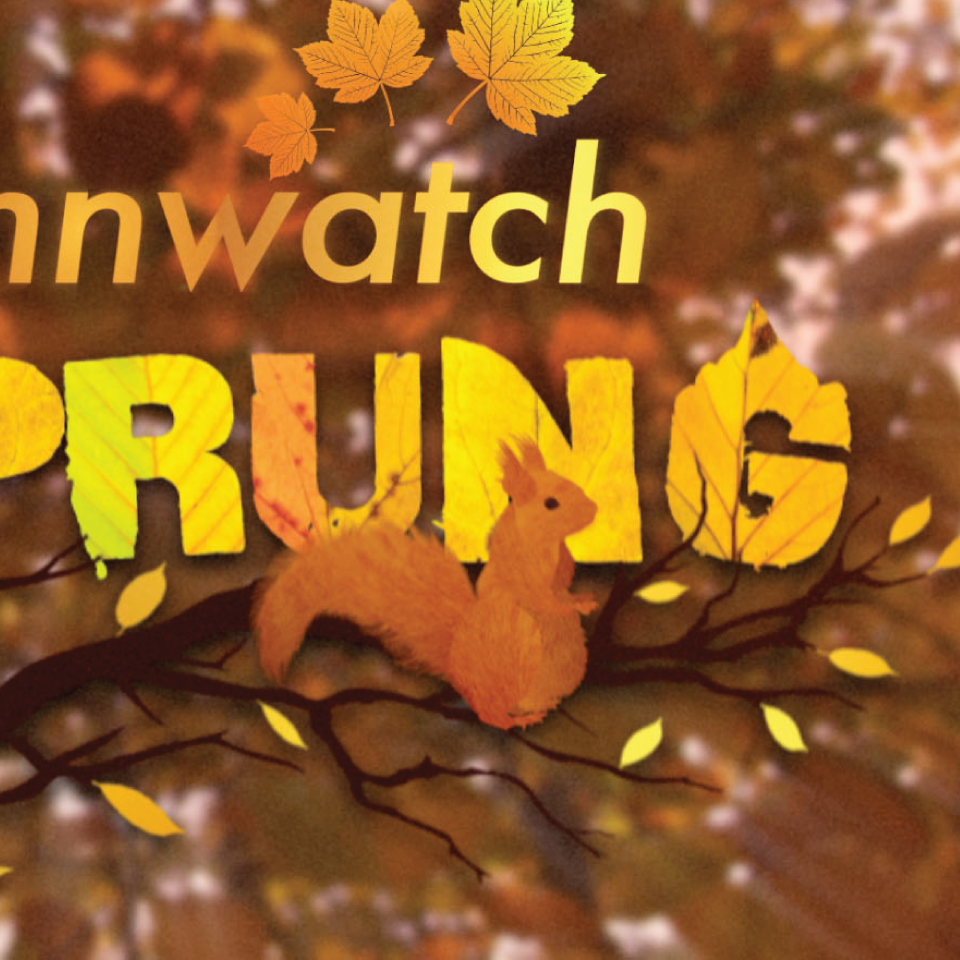 BBC Autumnwatch Unsprung squirrel character animation