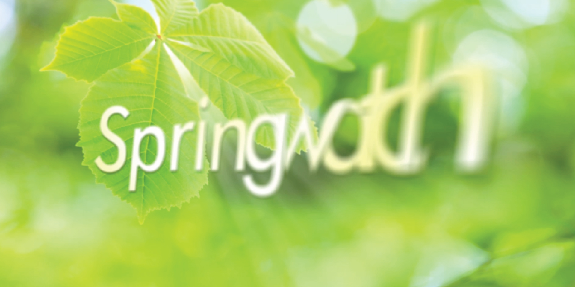 BBC Springwatch logo animation