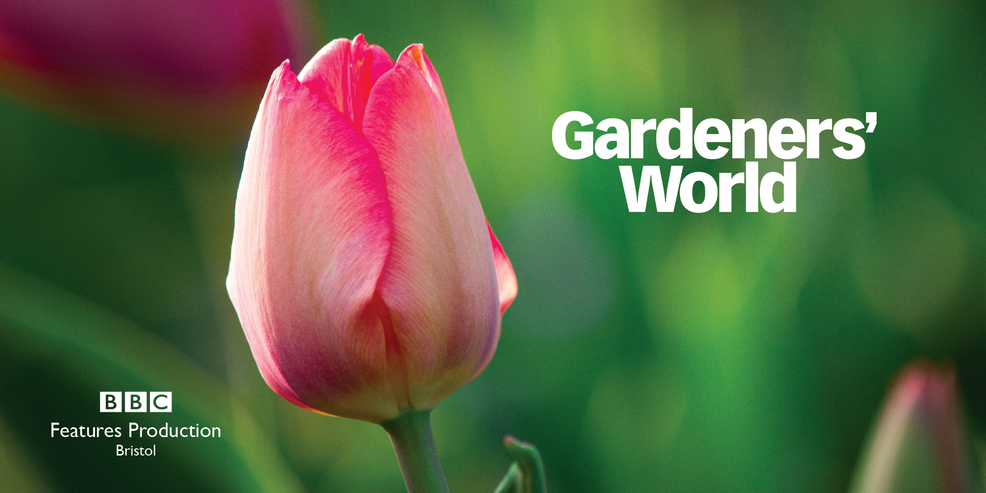 BBC Meeting Rooms Graphics Gardeners' World