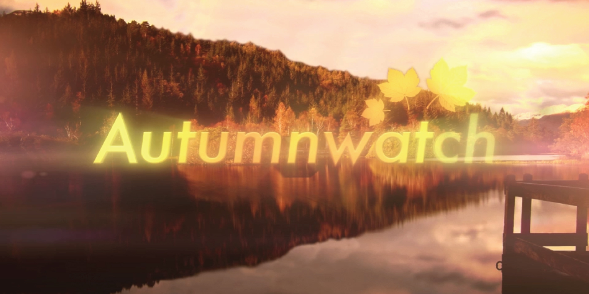 BBC Autumnwatch title sequence design