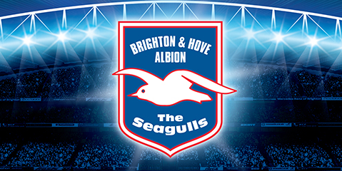 B009-2066-Brighton-and-Hove-Albion-imagery-Wide-5-ourwork.jpg