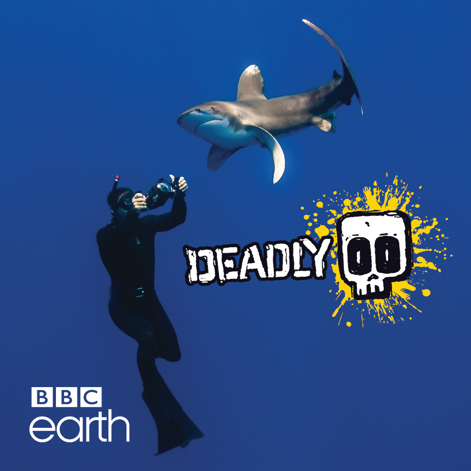 BBC meeting rooms graphics Deadly 60 BBC Earth