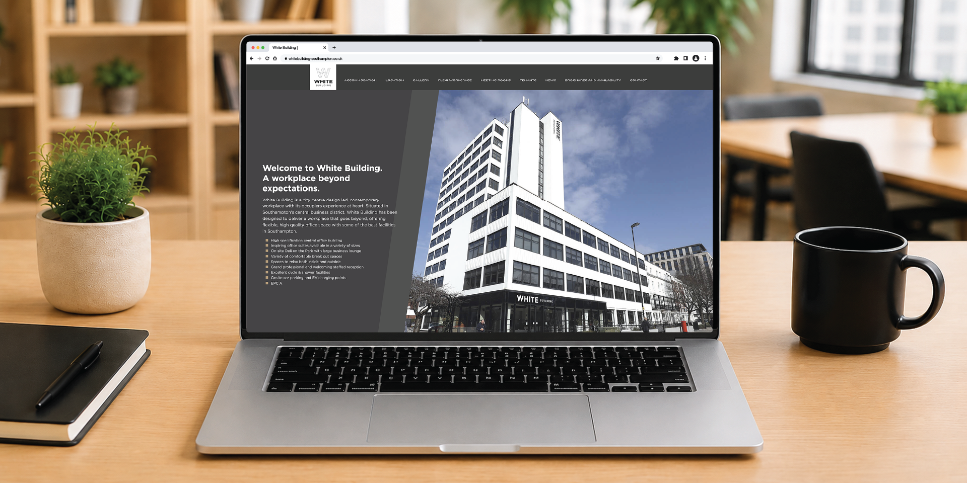 White Building Website Ashville