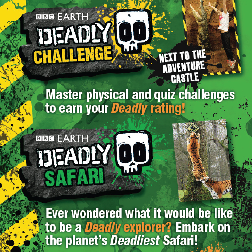 BBC Earth Deadly Challenge Deadly Safari Website Design