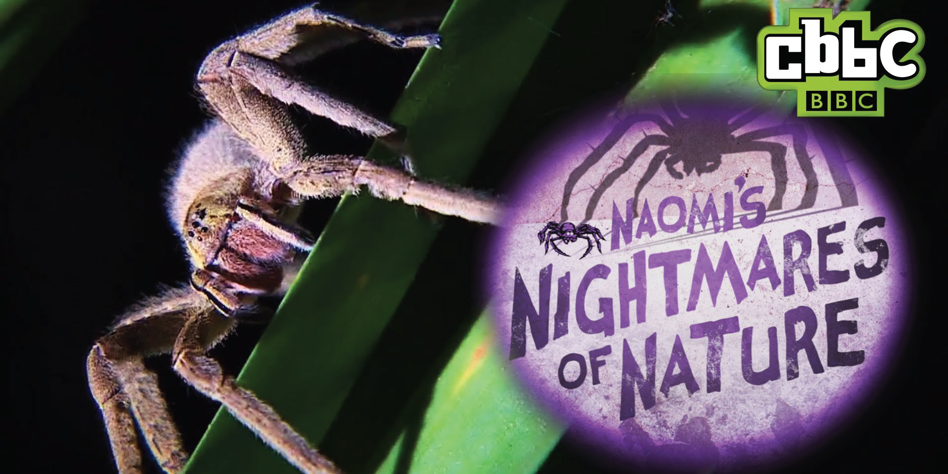 CBBC Naomi's Nightmares of Nature CBBC