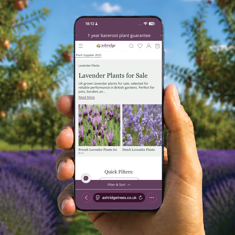 Ashridge Website Mobile